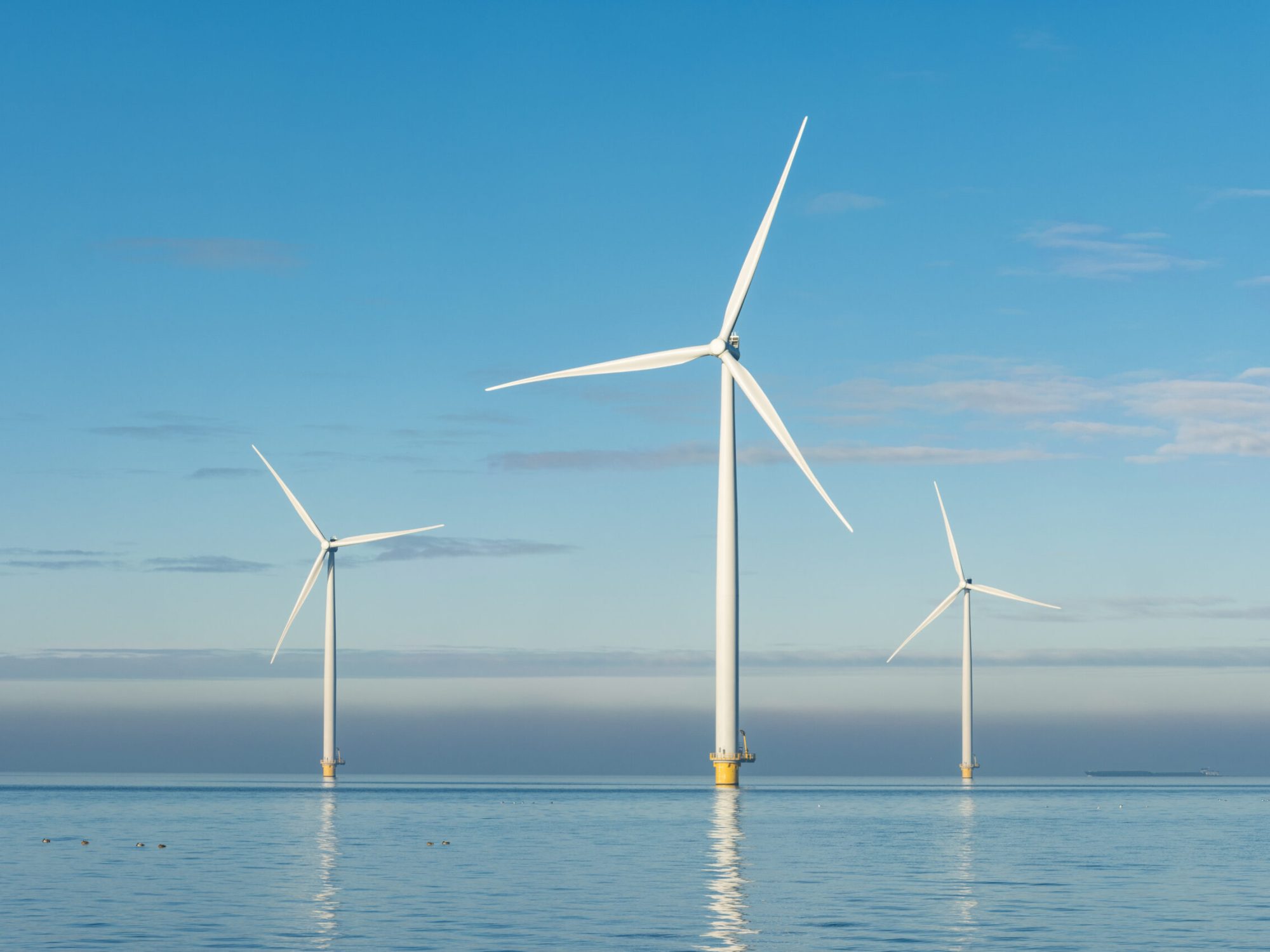 16. Noordzee Overleg shutterstock_560974420